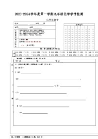 山东省泰安市东平县东原实验学校（五四制）2023-2024学年上学期九年级期末模拟考试化学试题