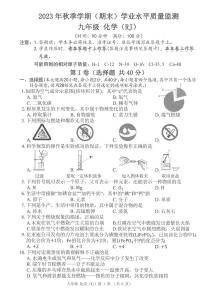 广西河池市凤山县2023-2024学年九年级上学期期末考试化学试题