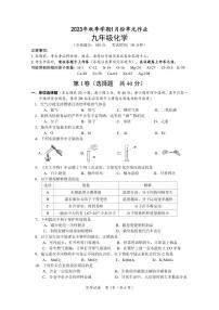 广西南宁市天桃实验学校2023-2024学年九年级上学期1月月考化学试卷(1)