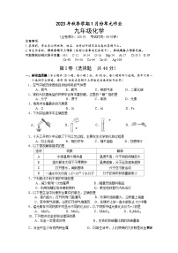 广西南宁市天桃实验学校2023-2024学年九年级上学期1月月考化学试卷