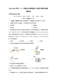 湖北省黄石市阳新县北部联盟2023-2024学年九年级上学期化学期末调研模拟卷