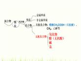 人教版九年级化学下册第11单元《盐与化肥》复习课件