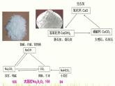 人教版九年级化学下册第11单元《盐与化肥》复习课件