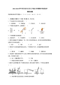 2023-2024学年四川省内江市九年级上册期中考试化学测试卷（附答案）