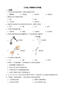 广西南宁市2023年九年级上学期期末化学试题附答案