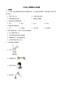 广西壮族自治区2023年九年级上学期期末化学试题附答案