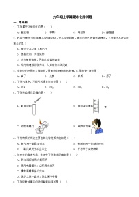 四川省成都市2023年九年级上学期期末化学试题附答案