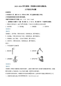 陕西省咸阳市杨凌区2023-2024学年九年级上学期期末调研化学试卷