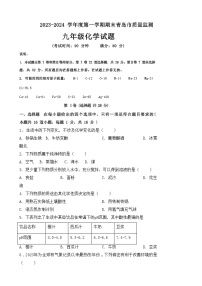 山东省青岛市2023-2024学年九年级上学期期末质量监测化学试题