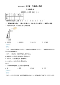 河南省周口市沈丘县等三校2023-2024学年九年级上学期1月期末化学试题