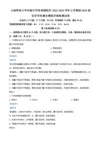 云南省昆明市云师大实验昆明湖校区2023-2024学年九年级上学期化学期末模拟学情测试卷