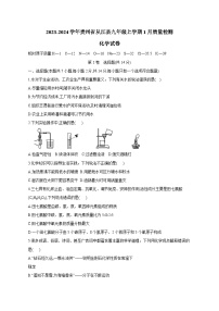 2023-2024学年贵州省从江县九年级上册1月质量检测化学试卷（附答案）