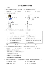 广东省江门市新会区2023年九年级上学期期末化学试题附答案