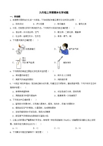 广东省汕头2023年九年级上学期期末化学试题附答案