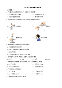 河北省廊坊市2023年九年级上学期期末化学试题附答案