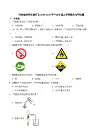 河南省南阳市唐河县2023年九年级上学期期末化学试题附答案