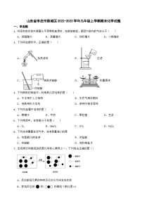 山东省枣庄市薛城区2023年九年级上学期期末化学试题附答案