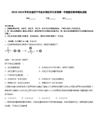 2023-2024学年东省济宁市金乡县化学九年级第一学期期末联考模拟试题含答案