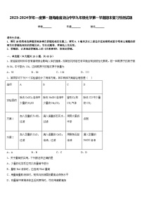 2023-2024学年—度第一期海南省灵山中学九年级化学第一学期期末复习检测试题含答案