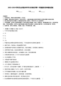 2023-2024学年乐山市重点中学九年级化学第一学期期末统考模拟试题含答案