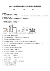 2023-2024学年临沂市重点中学九上化学期末检测模拟试题含答案