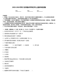 2023-2024学年三亚市重点中学化学九上期末考试试题含答案