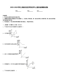 2023-2024学年上海民办日日学校化学九上期末监测模拟试题含答案