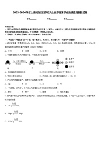 2023-2024学年上海民办日日学校九上化学期末学业质量监测模拟试题含答案