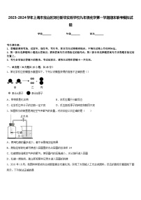 2023-2024学年上海市宝山区刘行新华实验学校九年级化学第一学期期末联考模拟试题含答案