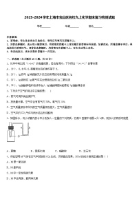 2023-2024学年上海市宝山区名校九上化学期末复习检测试题含答案