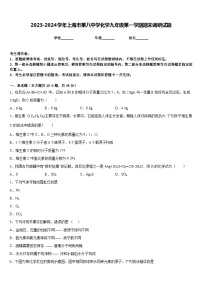 2023-2024学年上海市第八中学化学九年级第一学期期末调研试题含答案