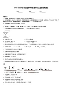 2023-2024学年上海市奉贤区化学九上期末经典试题含答案