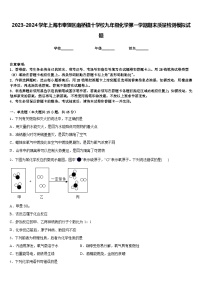 2023-2024学年上海市奉贤区南桥镇十学校九年级化学第一学期期末质量检测模拟试题含答案