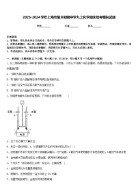 2023-2024学年上海市复旦初级中学九上化学期末统考模拟试题含答案