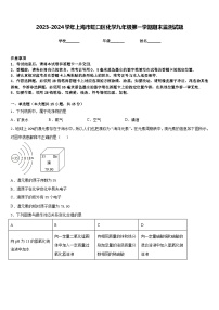 2023-2024学年上海市虹口区化学九年级第一学期期末监测试题含答案