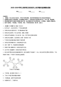 2023-2024学年上海市虹口区名校九上化学期末监测模拟试题含答案