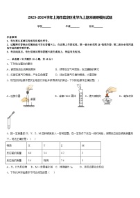 2023-2024学年上海市嘉定区化学九上期末调研模拟试题含答案