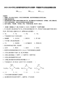 2023-2024学年上海市建平西学校化学九年级第一学期期末学业质量监测模拟试题含答案