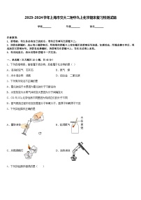 2023-2024学年上海市交大二附中九上化学期末复习检测试题含答案