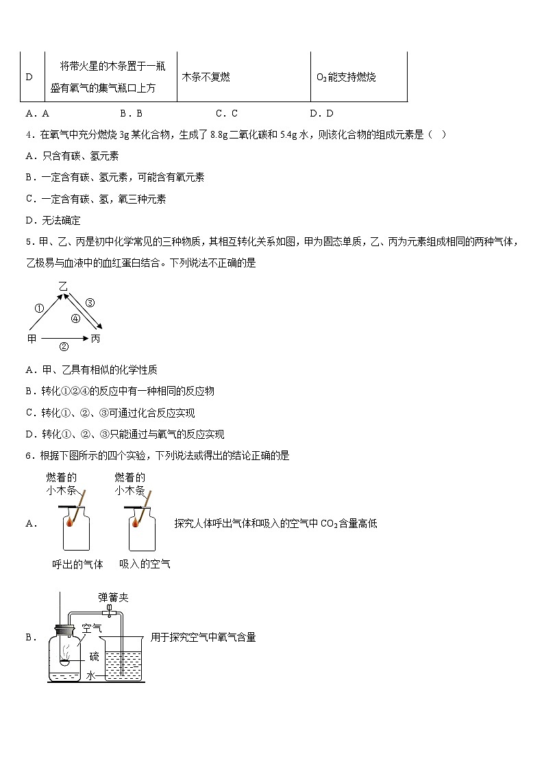 2023-2024学年上海市闵行区21学校九上化学期末综合测试模拟试题含答案02