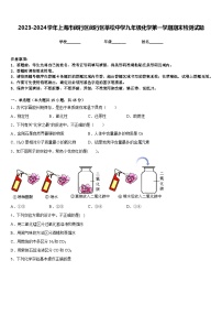 2023-2024学年上海市闵行区闵行区莘松中学九年级化学第一学期期末检测试题含答案