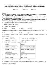 2023-2024学年上海市闵行区信宏中学化学九年级第一学期期末监测模拟试题含答案