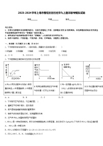 2023-2024学年上海市普陀区名校化学九上期末联考模拟试题含答案