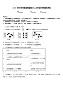 2023-2024学年上海市浦东区九上化学期末检测模拟试题含答案