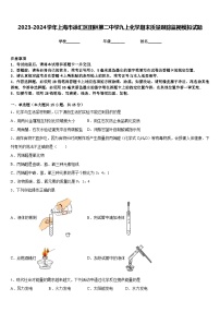 2023-2024学年上海市徐汇区田林第二中学九上化学期末质量跟踪监视模拟试题含答案