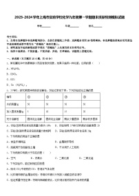 2023-2024学年上海市实验学校化学九年级第一学期期末质量检测模拟试题含答案