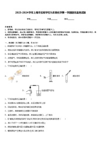 2023-2024学年上海市实验学校九年级化学第一学期期末监测试题含答案