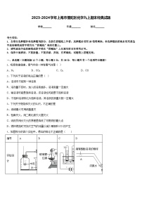 2023-2024学年上海市普陀区化学九上期末经典试题含答案