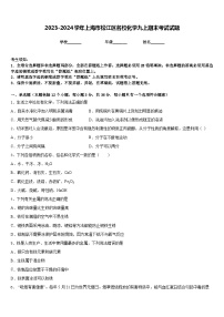 2023-2024学年上海市松江区名校化学九上期末考试试题含答案