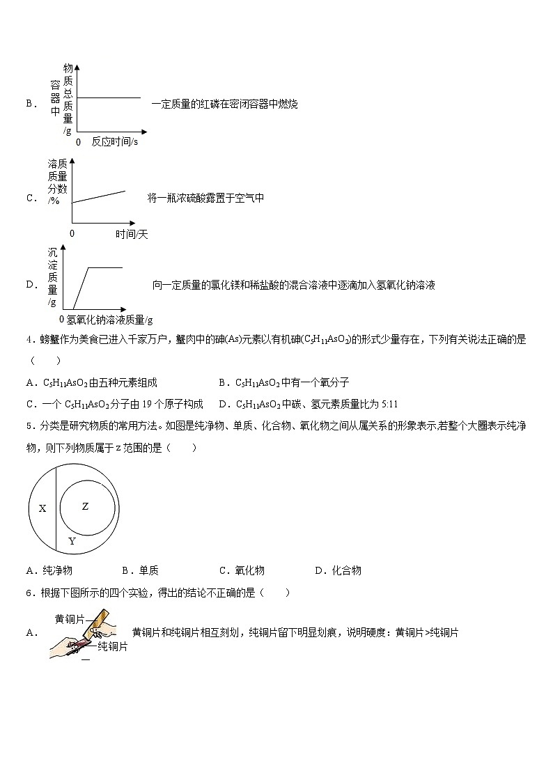 2023-2024学年上海市文来中学化学九年级第一学期期末综合测试试题含答案第2页